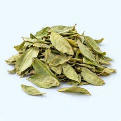 Hoja de sen