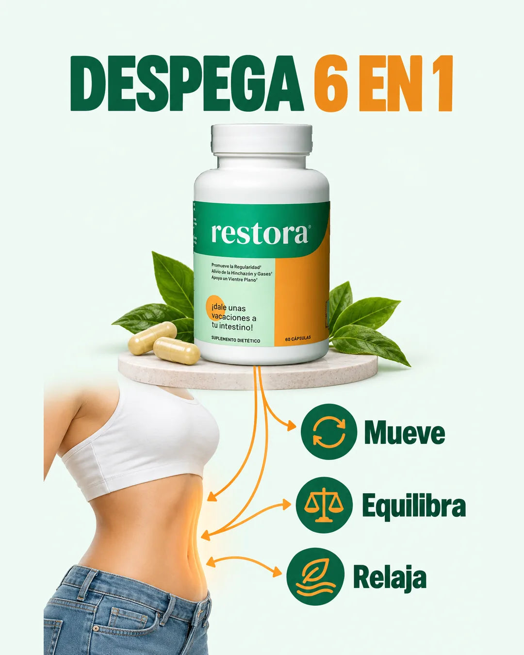 Fórmula Despega 6 en 1